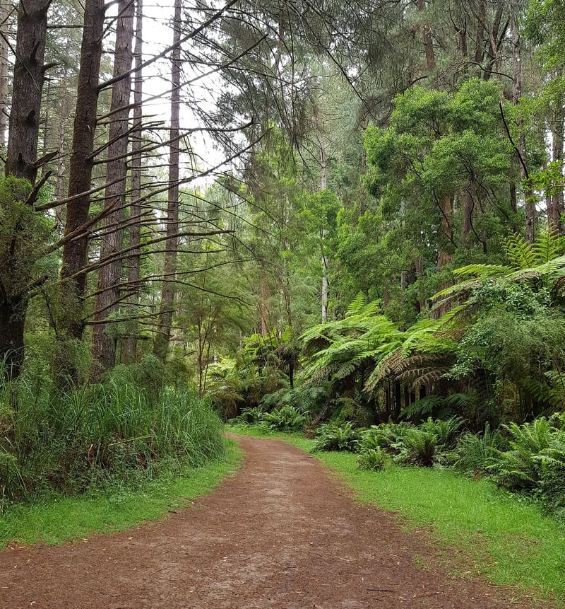 Mystery Destinations